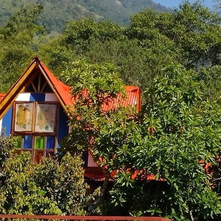 Hospedaje Rural Tupinamba Ibagué Zewnętrze zdjęcie